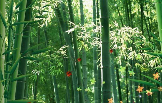 大自然沁人心脾的新鮮空氣，在家也能呼吸到